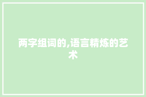 两字组词的,语言精炼的艺术