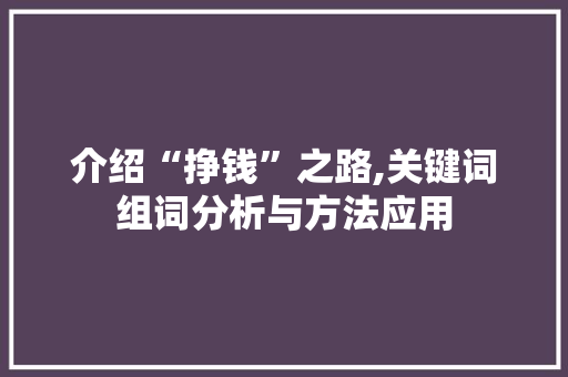 介绍“挣钱”之路,关键词组词分析与方法应用