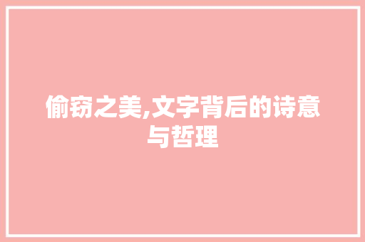偷窃之美,文字背后的诗意与哲理