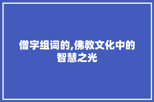 僧字组词的,佛教文化中的智慧之光