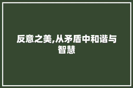反意之美,从矛盾中和谐与智慧