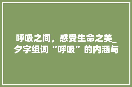 呼吸之间，感受生命之美_夕字组词“呼吸”的内涵与启示
