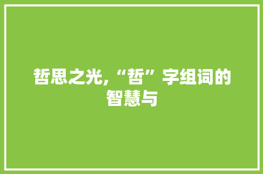 哲思之光,“哲”字组词的智慧与