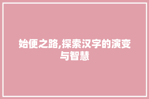 始便之路,探索汉字的演变与智慧