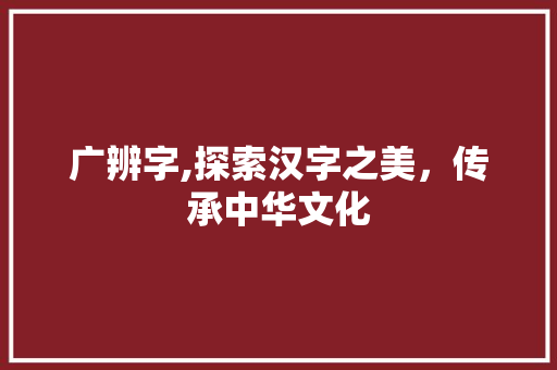 广辨字,探索汉字之美，传承中华文化