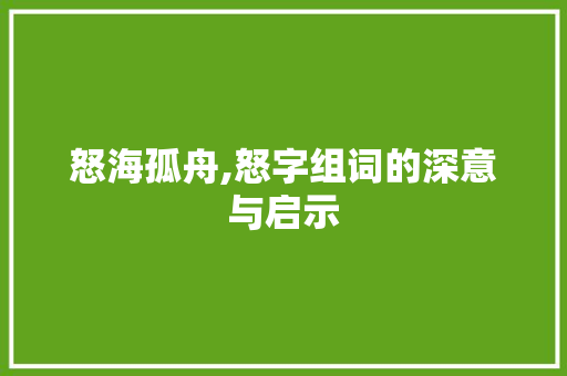 怒海孤舟,怒字组词的深意与启示