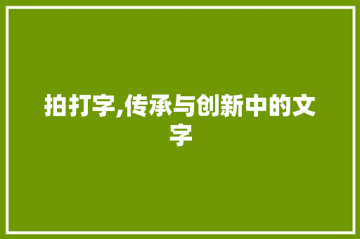拍打字,传承与创新中的文字