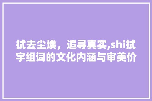拭去尘埃，追寻真实,shi拭字组词的文化内涵与审美价值
