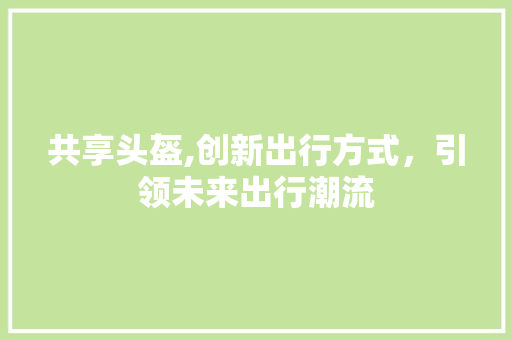 共享头盔,创新出行方式，引领未来出行潮流