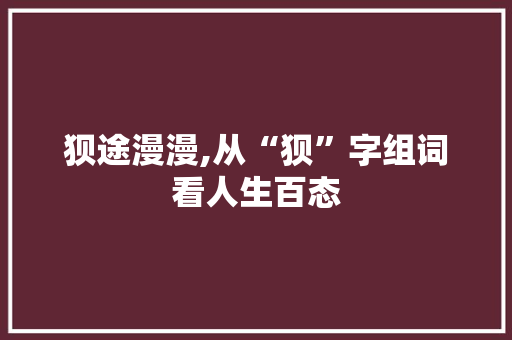 狈途漫漫,从“狈”字组词看人生百态