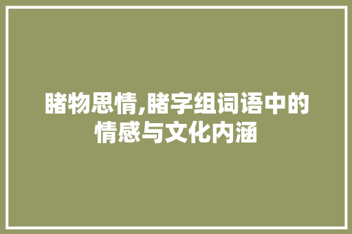 睹物思情,睹字组词语中的情感与文化内涵