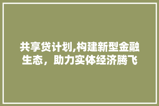 共享贷计划,构建新型金融生态，助力实体经济腾飞