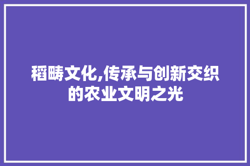 稻畴文化,传承与创新交织的农业文明之光