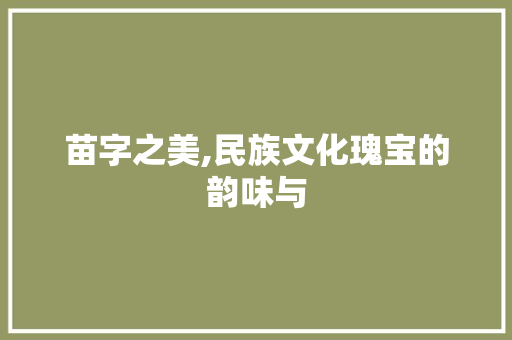苗字之美,民族文化瑰宝的韵味与