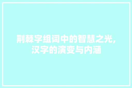 荆棘字组词中的智慧之光,汉字的演变与内涵