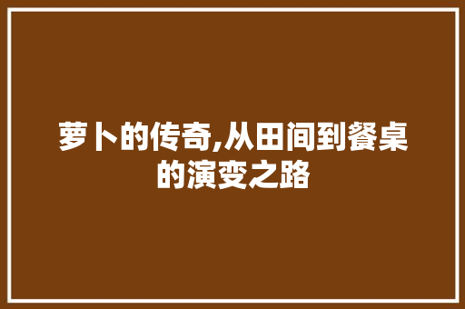 萝卜的传奇,从田间到餐桌的演变之路