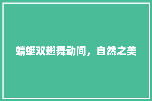 蜻蜓双翅舞动间，自然之美