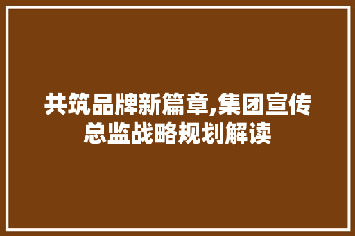 共筑品牌新篇章,集团宣传总监战略规划解读