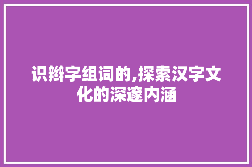 识辫字组词的,探索汉字文化的深邃内涵