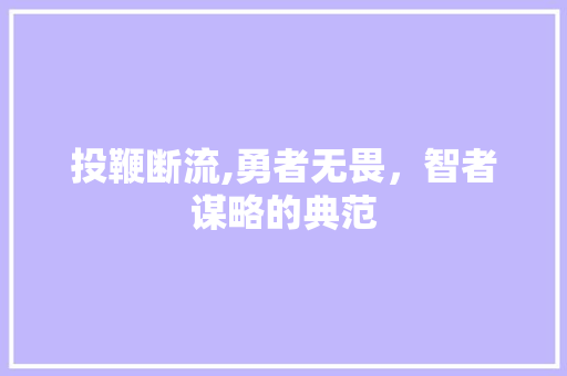投鞭断流,勇者无畏，智者谋略的典范