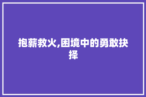 抱薪救火,困境中的勇敢抉择