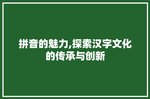 拼音的魅力,探索汉字文化的传承与创新