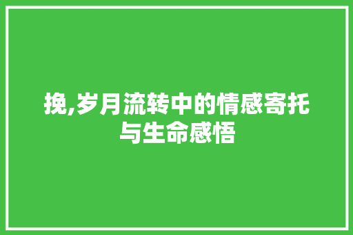 挽,岁月流转中的情感寄托与生命感悟