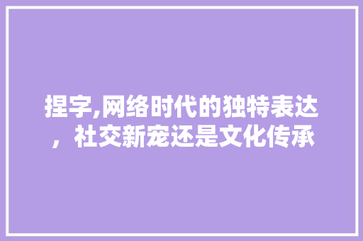 捏字,网络时代的独特表达，社交新宠还是文化传承
