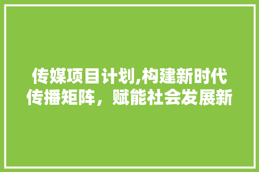 传媒项目计划,构建新时代传播矩阵，赋能社会发展新篇章