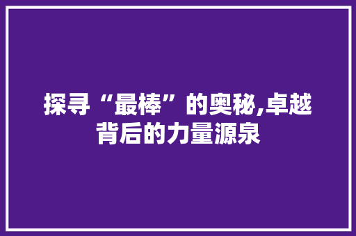 探寻“最棒”的奥秘,卓越背后的力量源泉