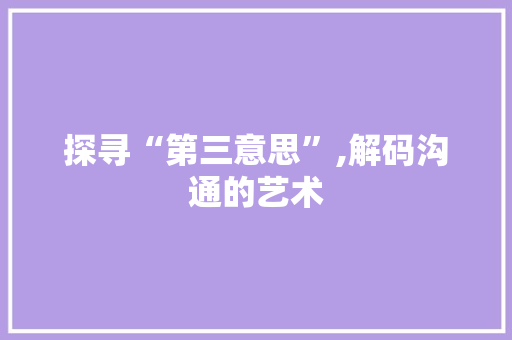 探寻“第三意思”,解码沟通的艺术
