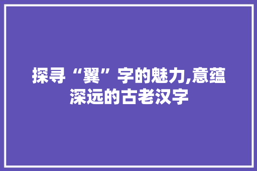 探寻“翼”字的魅力,意蕴深远的古老汉字
