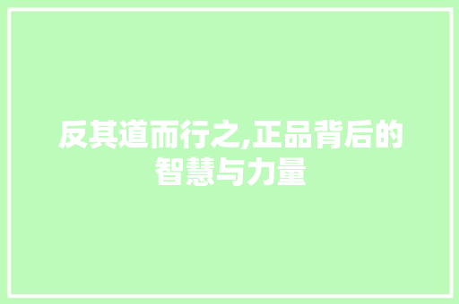 反其道而行之,正品背后的智慧与力量