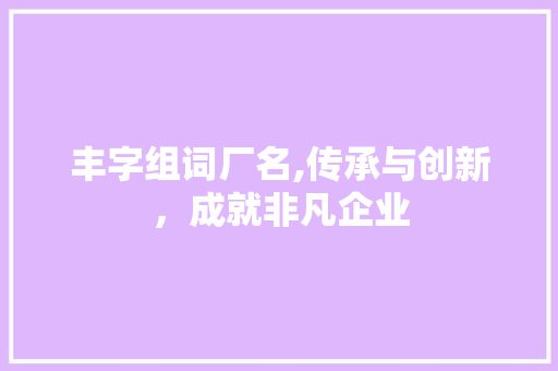 丰字组词厂名,传承与创新，成就非凡企业