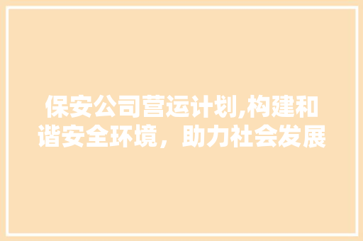 保安公司营运计划,构建和谐安全环境，助力社会发展