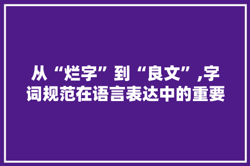 从“烂字”到“良文”,字词规范在语言表达中的重要性