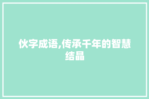 伙字成语,传承千年的智慧结晶