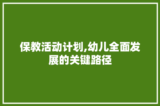 保教活动计划,幼儿全面发展的关键路径