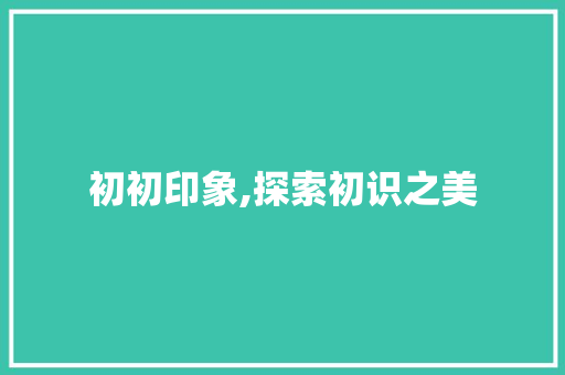 初初印象,探索初识之美