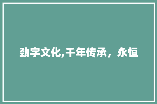 劲字文化,千年传承，永恒