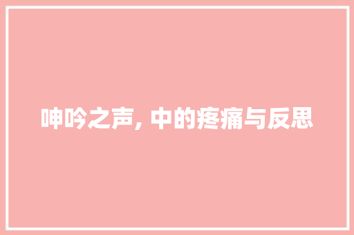 呻吟之声, 中的疼痛与反思