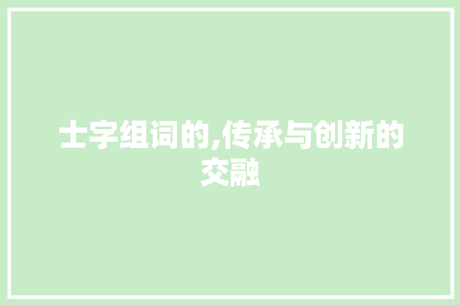 士字组词的,传承与创新的交融