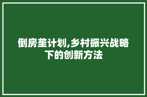 倒房垄计划,乡村振兴战略下的创新方法