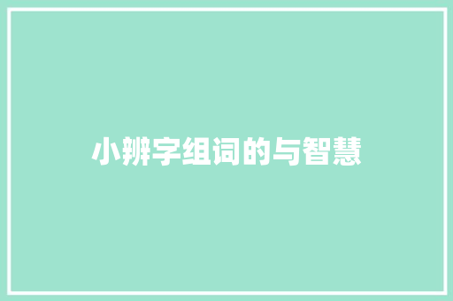 小辨字组词的与智慧