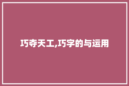 巧夺天工,巧字的与运用