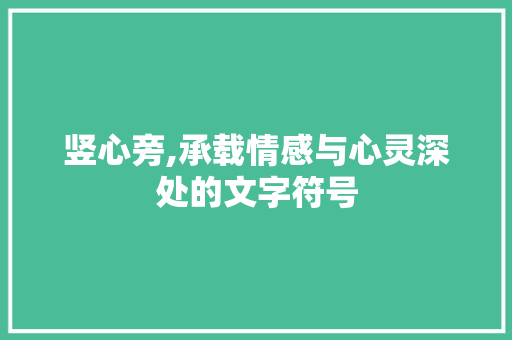 竖心旁,承载情感与心灵深处的文字符号