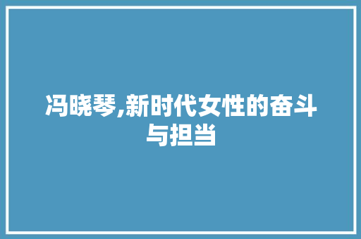 冯晓琴,新时代女性的奋斗与担当