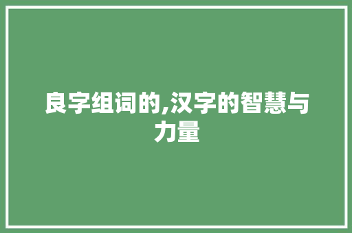 良字组词的,汉字的智慧与力量