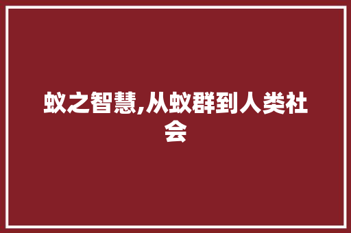 蚁之智慧,从蚁群到人类社会