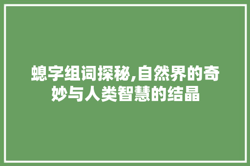 螅字组词探秘,自然界的奇妙与人类智慧的结晶